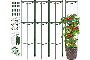 Tomato Cages for Pots, Heavy-Duty Support for Your Potted Tomatoes