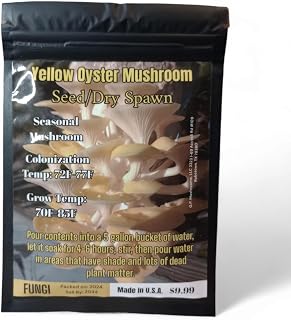 Yellow Oyster Mushroom Seed/Dry Spawn