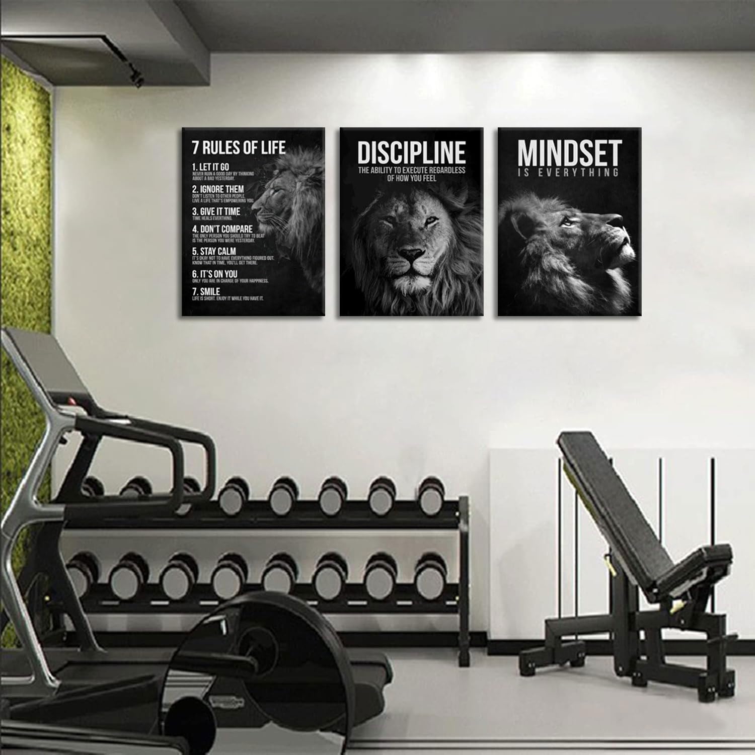 3 Pcs Framed Lion Inspirational Quotes Canvas Wall Art 7 Rules of Life Poster Wall Decor Pictures Office inspiration Poster Prints for Home Office gym study workplace Decoration 12x16 in