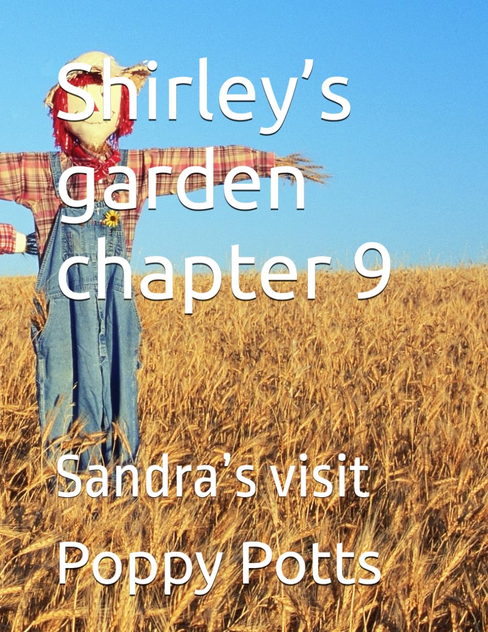 Shirley’s garden chapter 9: Sandra’s visit (Shirley’s garden billy and Benny’s adventures , by poppy Potts)