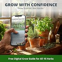 Vista 235 de HOME GROWN Semillas de diente de león para plantar 600 semillas de hierbas medicinales tradicionales (~ 0.01 oz) sin OMG cultivan hojas y flores