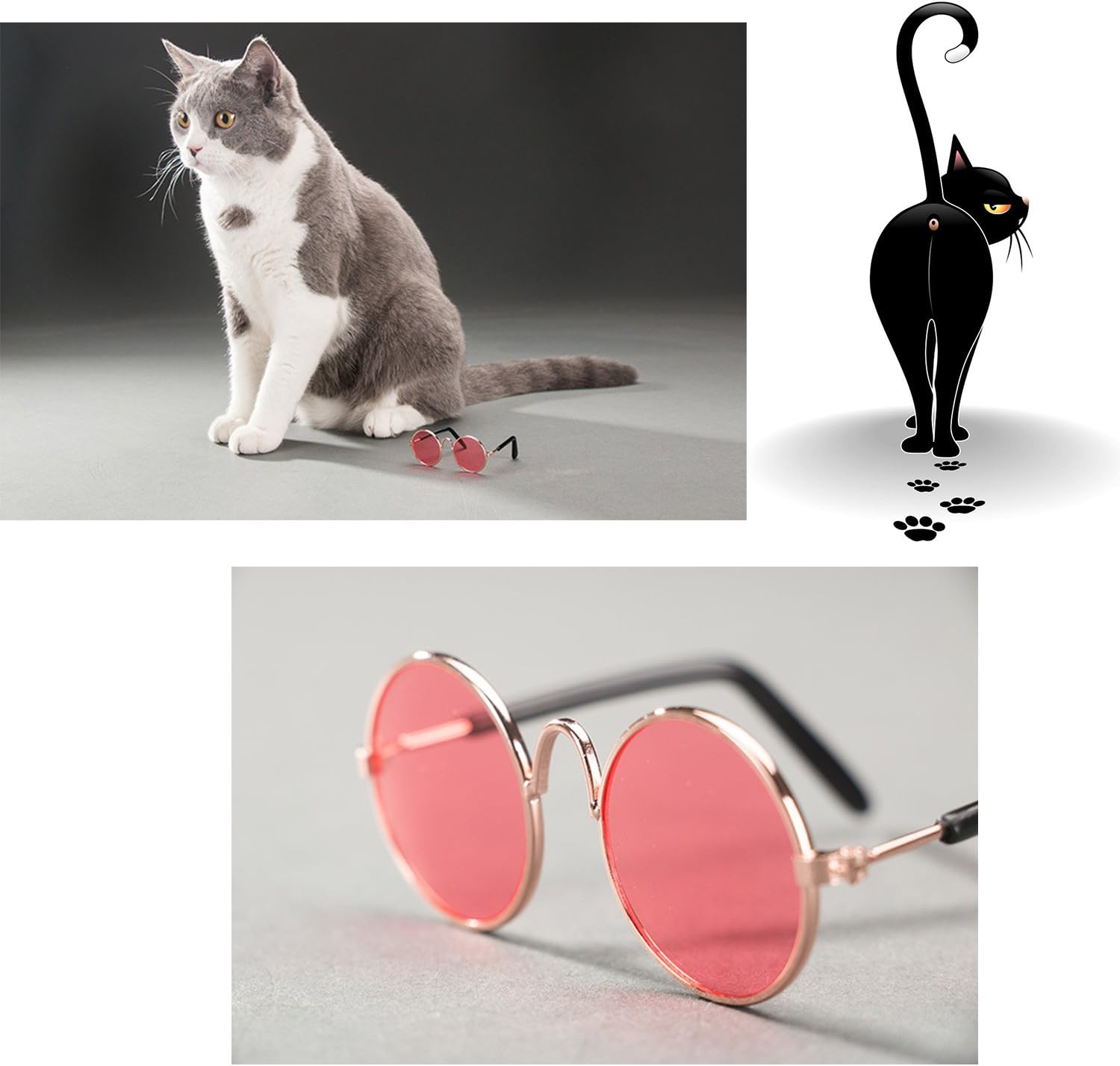 sunglasses for cats