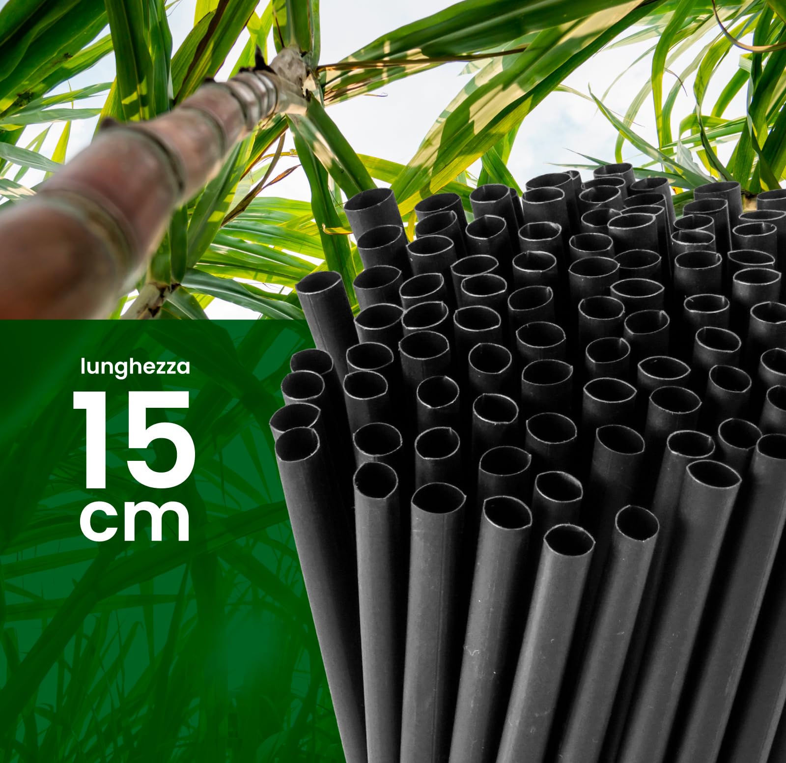 100 Cannucce Larghe Jumbo Colore Nero 15 cm x 8 mm - 100% Rigide Ecologiche Biodegradabili Compostabili e Riutilizzabili Made in Italy - Ideali per Bevande Cocktail Drink Eventi e Feste