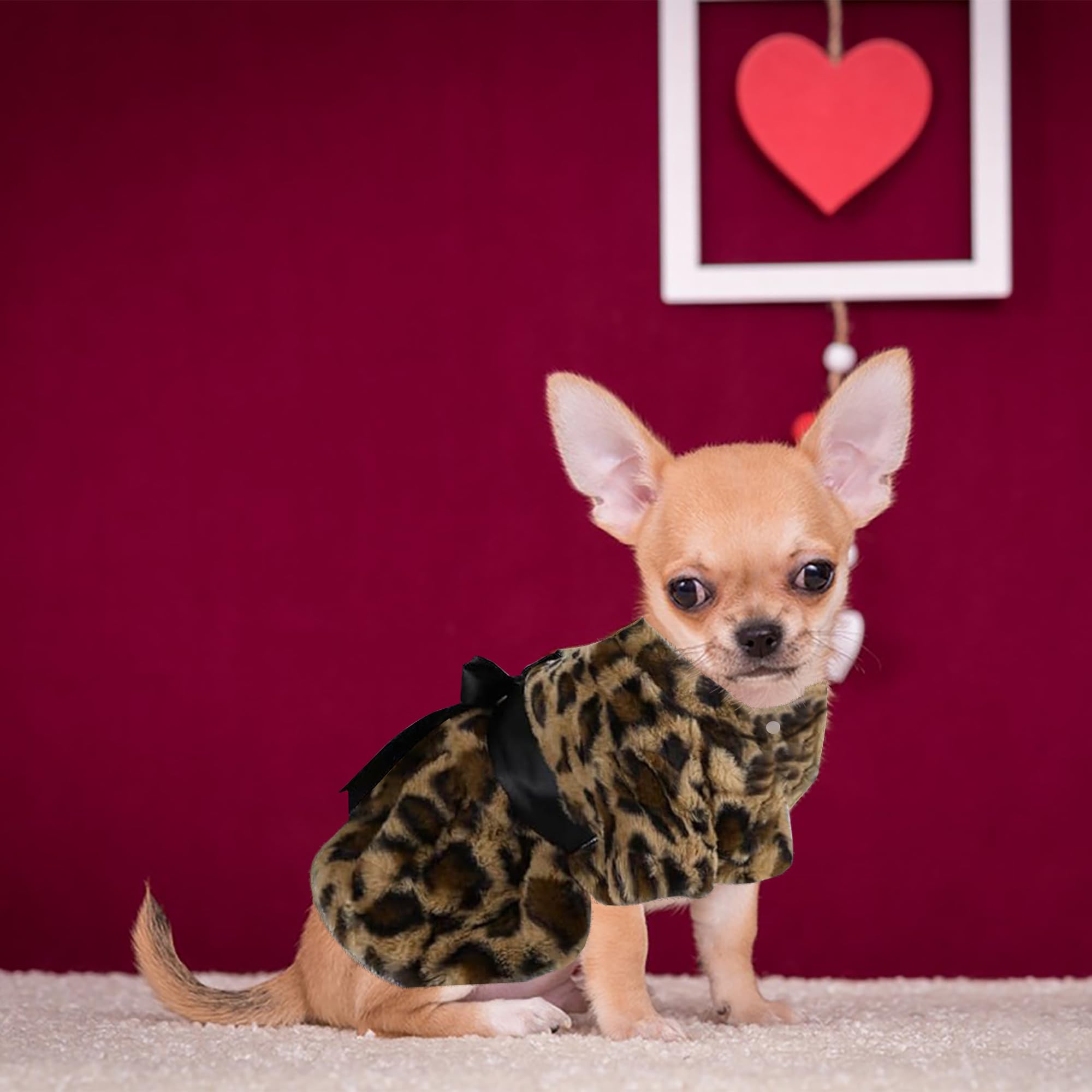 small dog holiday dresses Nicholas Noel Holiday Dog Dress main image 0