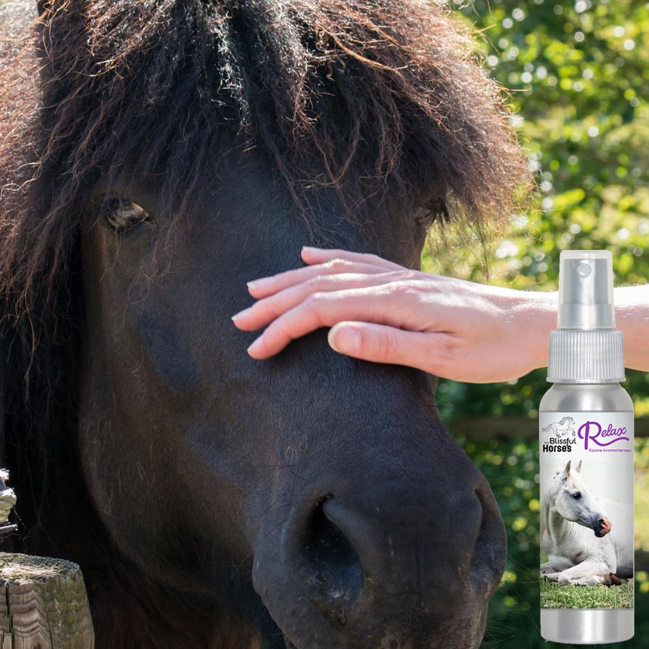 The Blissful Horses Relax Spray Aromatherapy All Natural Support for Your Horse's Anxiety - image 2