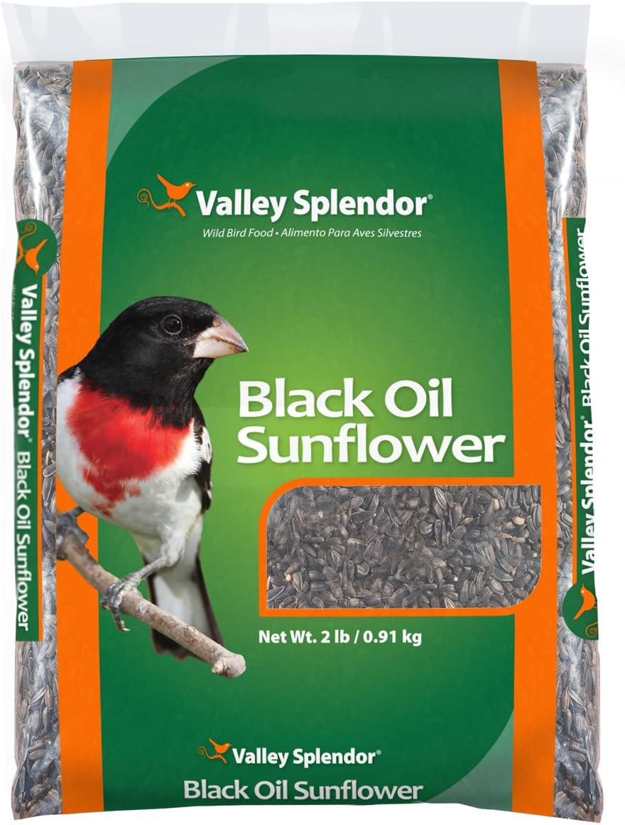 Black Oil Sunflower Seeds, 2 lbs