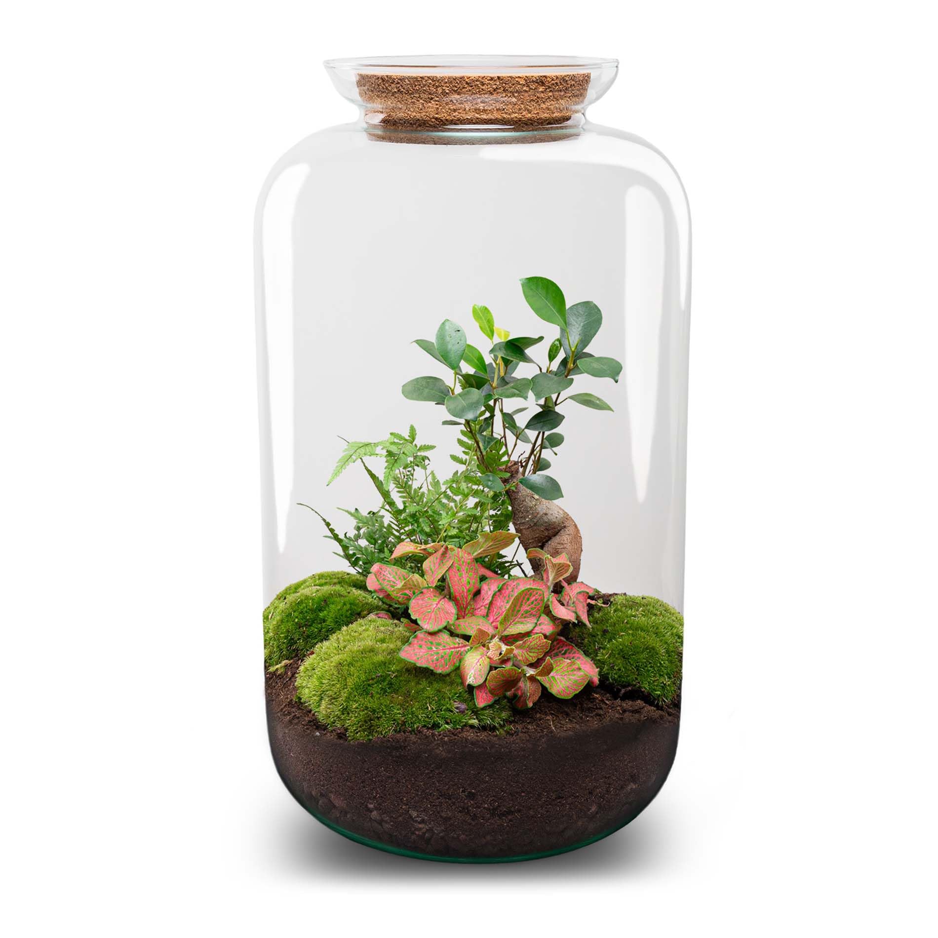 Planten