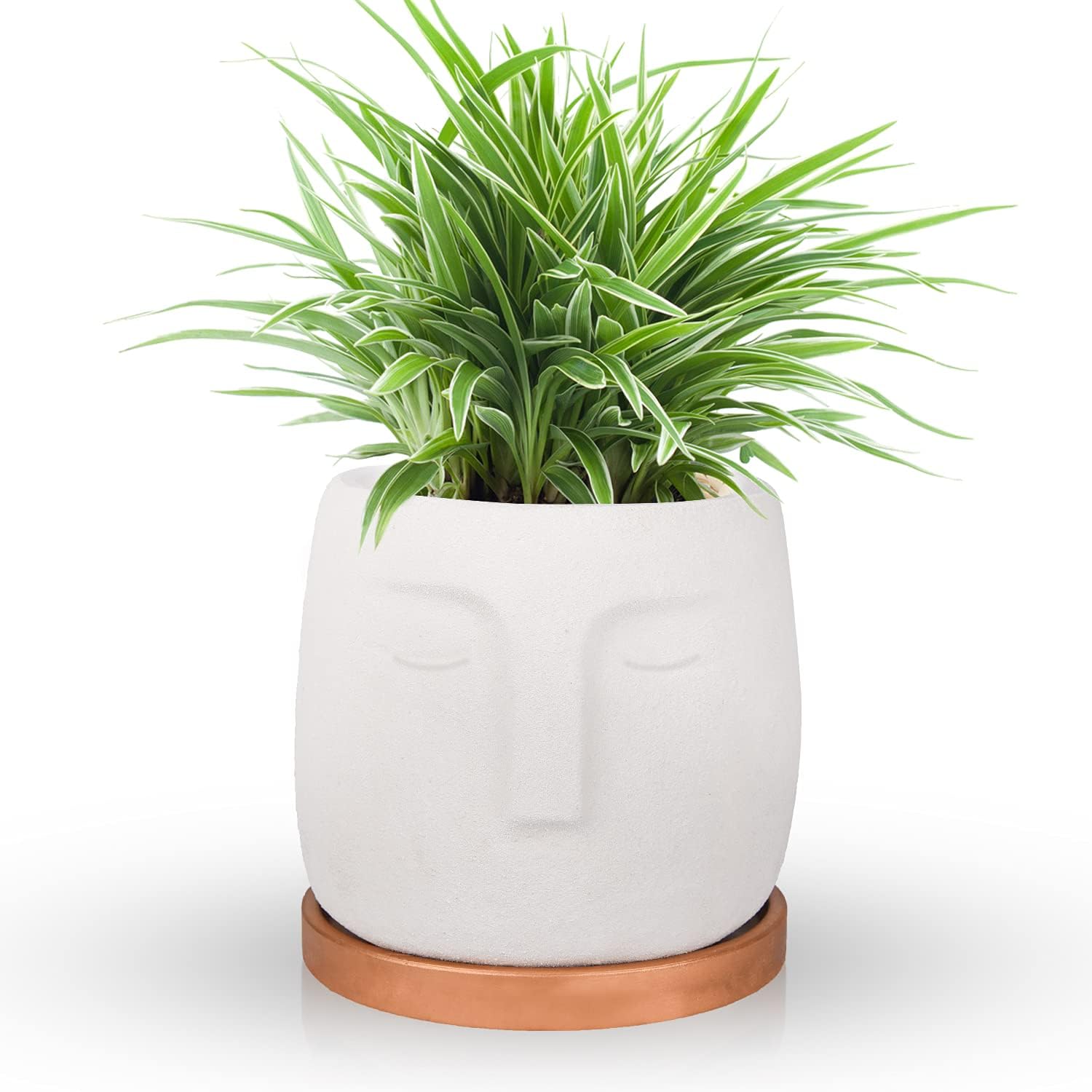 FORMIZON Abstracta De La Cara Macetas, Creativa Macetas Rostro Humano, Jardineros de Macetas Decorativas, Cemento Planter Suculenta Macetas para Decoración de Casa, Boda, Plantas Suculentas Salón
