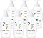 Alcohol Free Foam Hand Sanitizer, 0.15% Benzalkonium Chloride, Hypoallergenic, Fragrance Free, Safer for Kids, 100mL (Pack of 6)