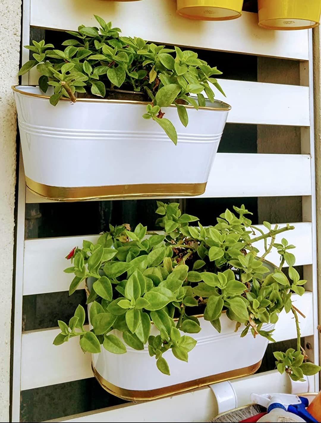 Craftr Deco Hanging Railing Garden Planter Flower Pot for Home Kitchen Office Corridor Set of 2, White (B09FK9T8RM) Amazon Price History, Amazon Price Tracker