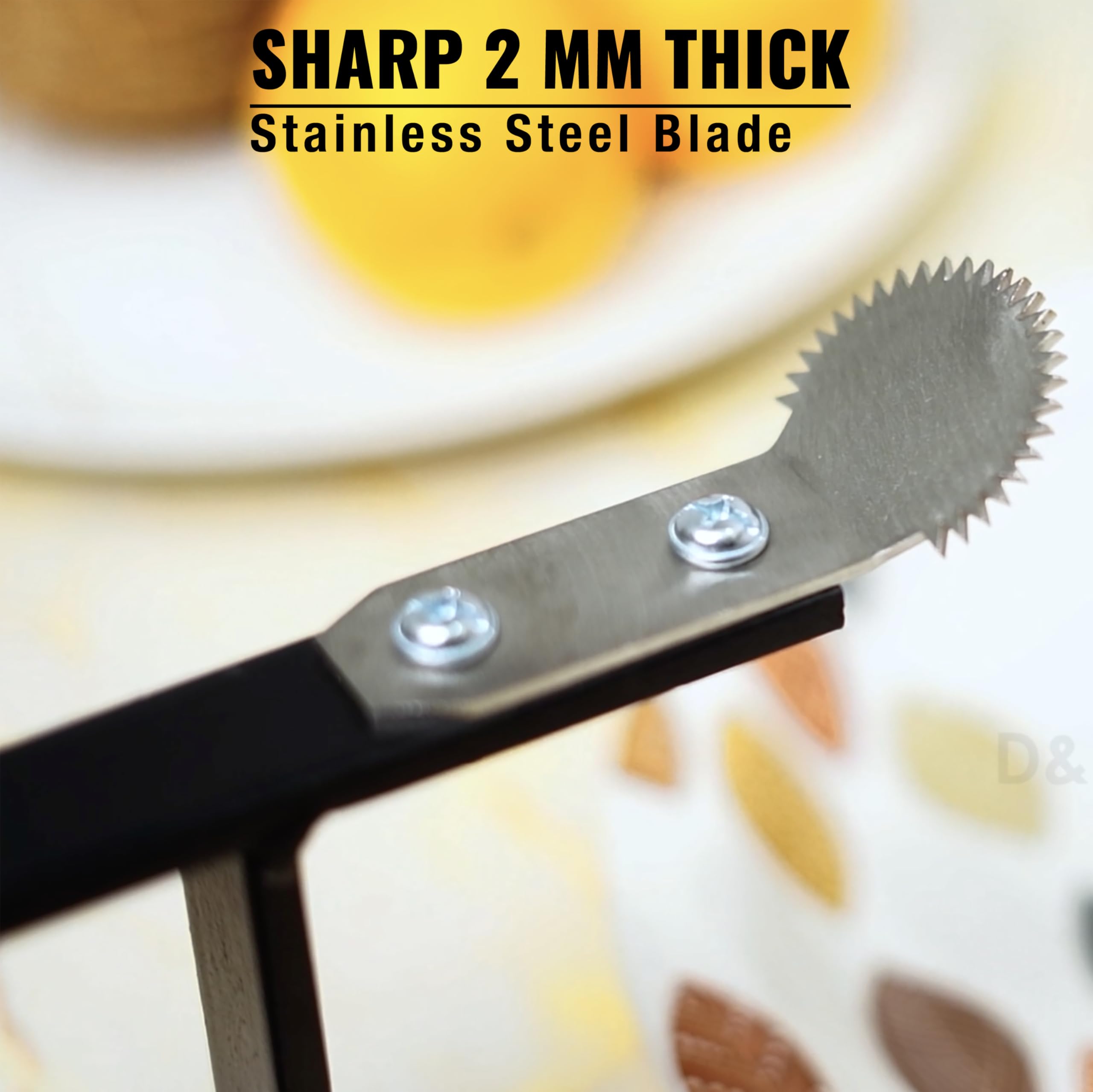 D&V Engineering Heavy-Duty Table-Mount Coconut Scraper & Grater | Sharp 2 mm Stainless Steel Blade, Durable Metal Frame | Easy, Fast Coconut Grating | Fits Up to 3-Inch Slabs, Black Frame 1