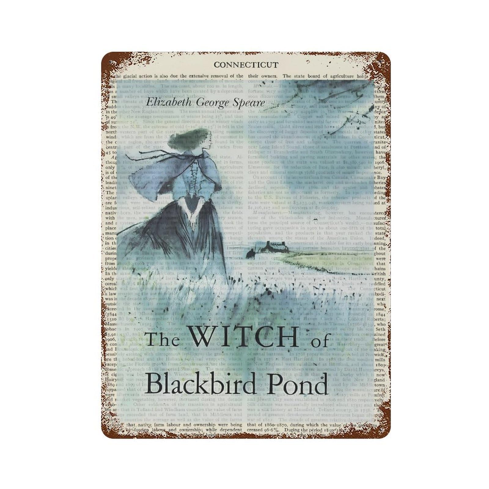 xiaoxiaoshen The Witch Of Blackbird Pond Wall Decor Art Metal Tin Poster Modern Home Decor Art Home Bar Shop Decorations Vintage Sign 40x30cm