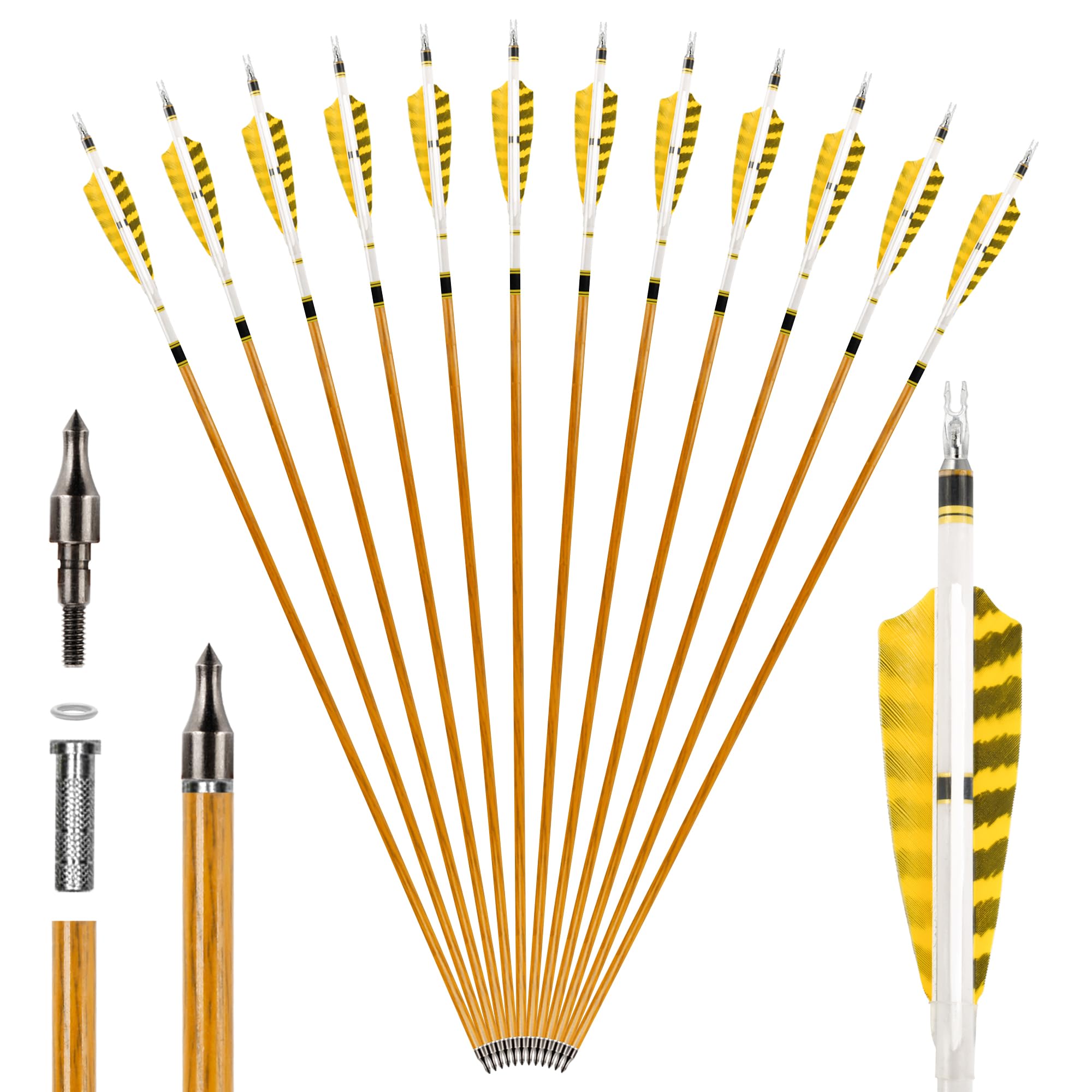 12 Flèches Carbone 31 Pouces avec Plumes Naturelles pour Tir à l'arc Adultes Recurve et Traditionnel
