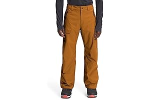 The North Face Freedom Insulated Ski Pants - Men's