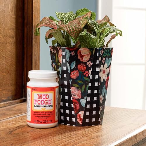 Miniatura 4 de Mod Podge Sellador de base acuosa brillante, pegamento (16 onzas), acabado WMCS11202B, 16 onzas (paquete de 12)