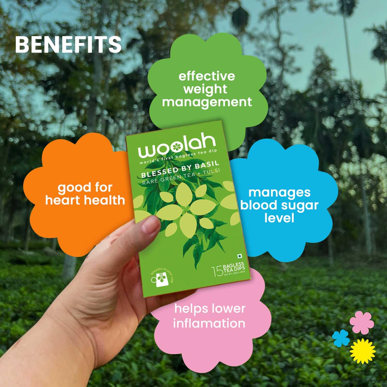 Woolah Rare Assam Green Tea With Tulsi, Organic Bagless Tea Dip (8 Packs = 120 Dips /240 Cups) 100% Plastic Free, Natural Whole Leaf, High Antioxidants Supports Weight Management, Improves Skin, Improves Digestive & Heart Health. — Amazon image 4