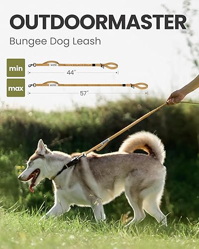 Miniatura 4 de OutdoorMaster Correa elástica para perro, correa resistente para perro con absorción de golpes, 2 asas acolchadas, correa de entrenamiento mejorada