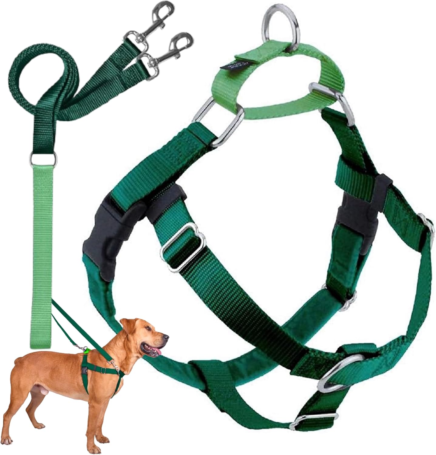 2 Hounds Design Freedom No-Pull Dog Harness & Leash Set - Adjustable Comfort Control, Made in USA, Fits Small to Large Dogs, Kelly Green Large