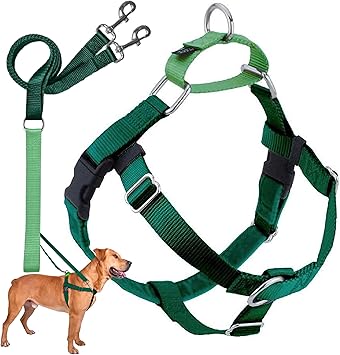 2 Hounds Design Freedom No Pull Dog Harness, Adjustable Harness and Leash Set, Easy Walking & Comfortable Control, Fits Small, Medium & Large Dogs, Solid Colors, Made in USA, 5/8 XS, Kelly Green