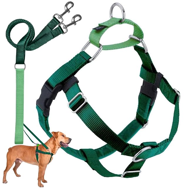 2 Hounds Design Freedom Arnés para Perro sin Tirar, con Correa, pequeño, 5/8 Pulgadas de Ancho, Verde Kelly