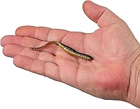 Vista 4 de Berkley ¡Gulp! SR Crawler Fishing Soft Bait