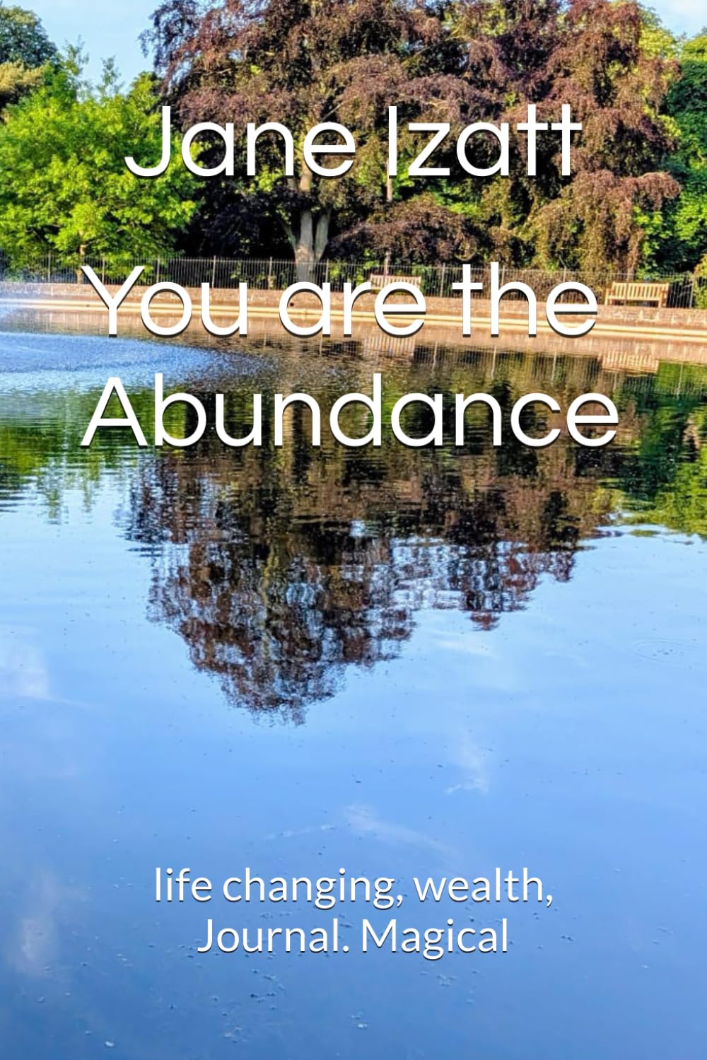 You are the Abundance: life changing, wealth, Journal. Magical