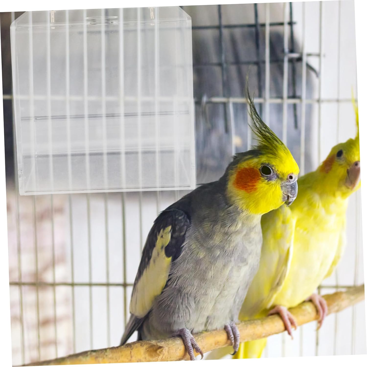 Kisangel 2pcs Bird Cage Mounted Bathtub Budgerigar Cube Bird Bath Box for Parakeets Canaries