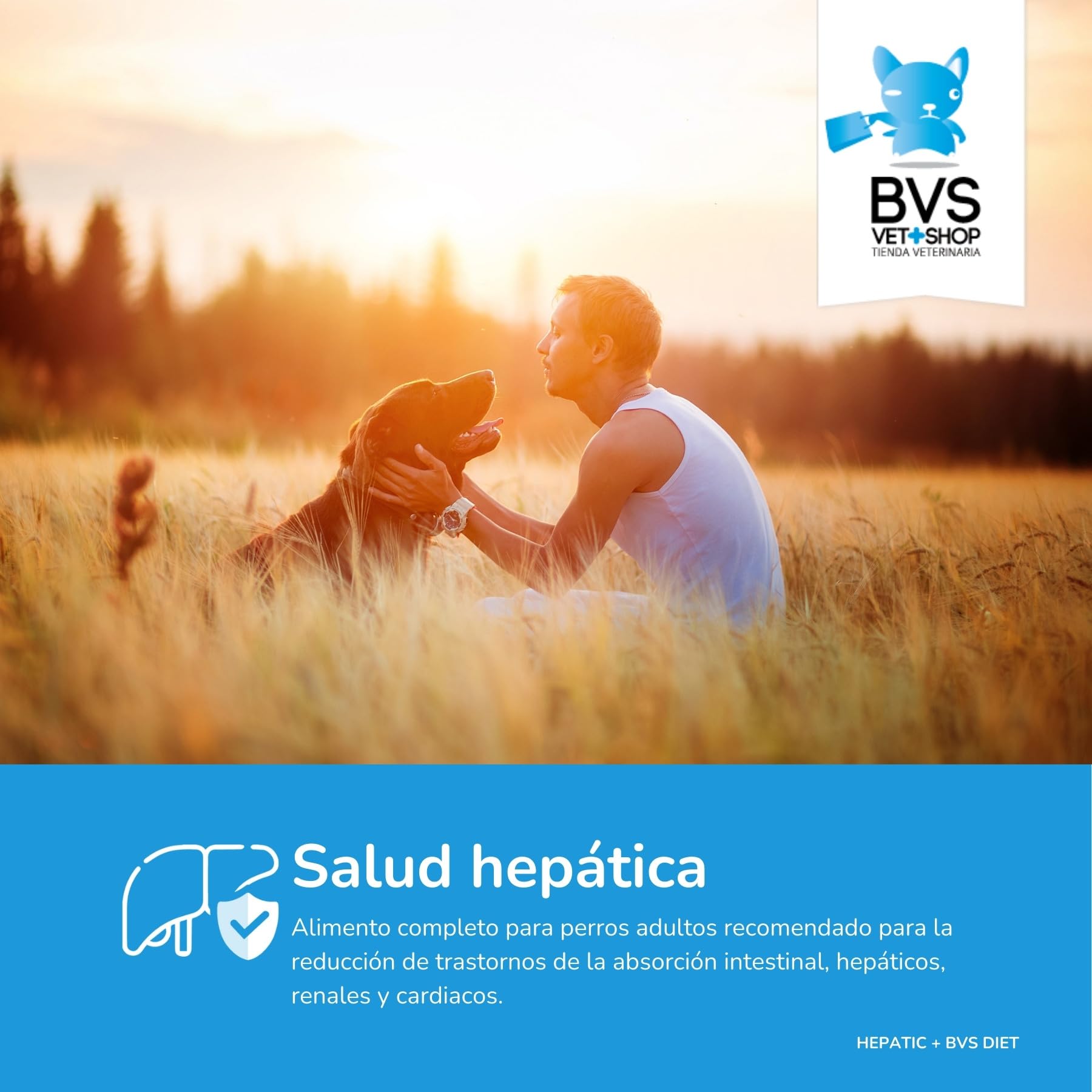 BVS Vet Shop | Diet Hepatic Plus para Perros | Recomendado para la reducción de trastornos de la absorción intestinal, hepáticos, renales y cardiacos | Razas Medianas y Grandes | 15 kg