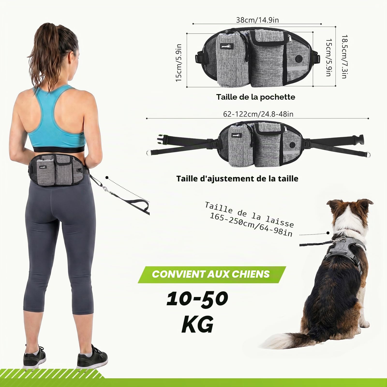 Pecute Laisse Canicross Chien Mains Libres Jusqu'à 50kg Absorption de Choc Couture Réfléchissante