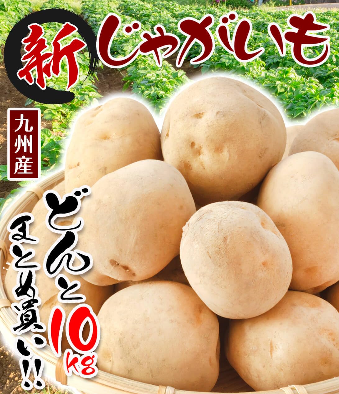 新じゃがいも じゃがいも ばれいしょ 野菜 10kg Amazon.co.jp: じゃがいも 九州産 新ばれいしょ 10kg 新じゃが 食品