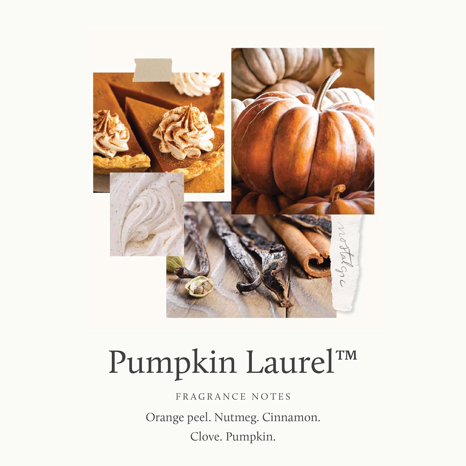 Thymes Foaming Hand Wash with Aloe & Glycerin - Fall Scented Foaming Hand Soap with Pump - Fall Decor - Fall Soap with Notes of Nutmeg, Cinnamon, Clove & Creamy Pumpkin (Pumpkin Laurel, 10.3 fl oz) - Image 3