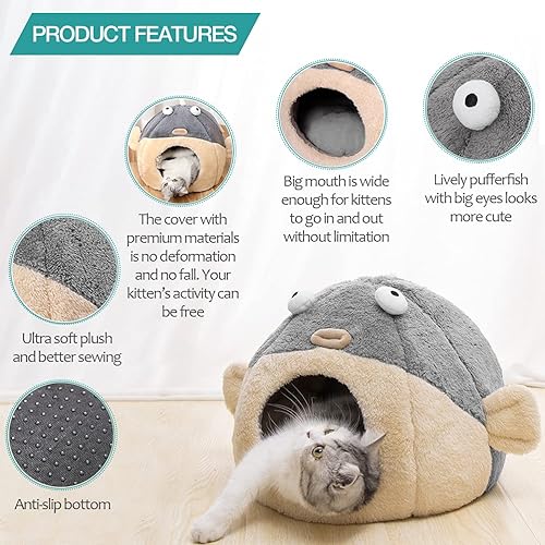 Cat Beds for Indoor Cats — lifestyle photo