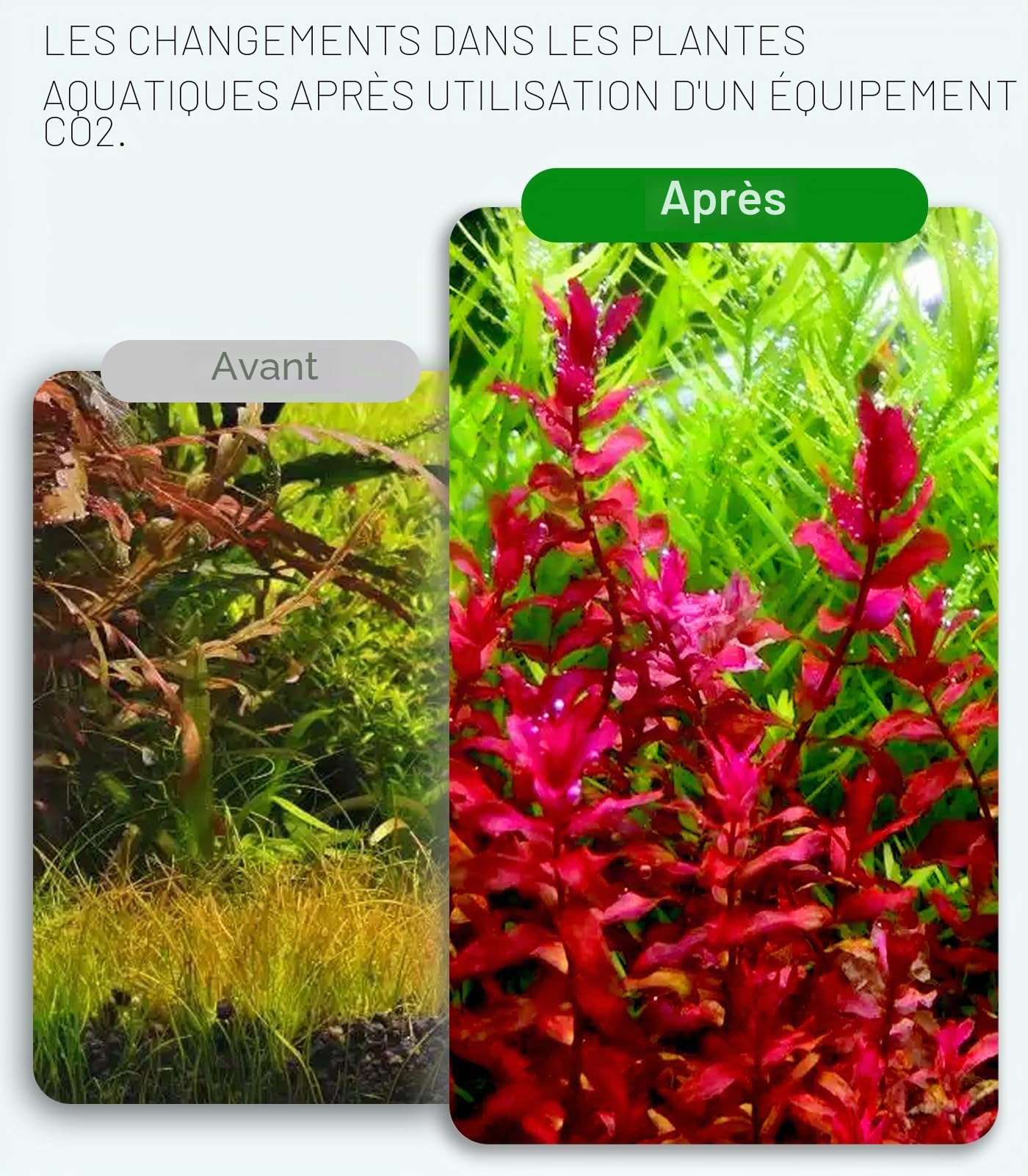 Régulateur de CO2 pour aquarium à double jauge avec compteur de bulles et électrovanne, solénoïde radial à ouverture latérale W21.8, régulateur de CO2 pour aquarium