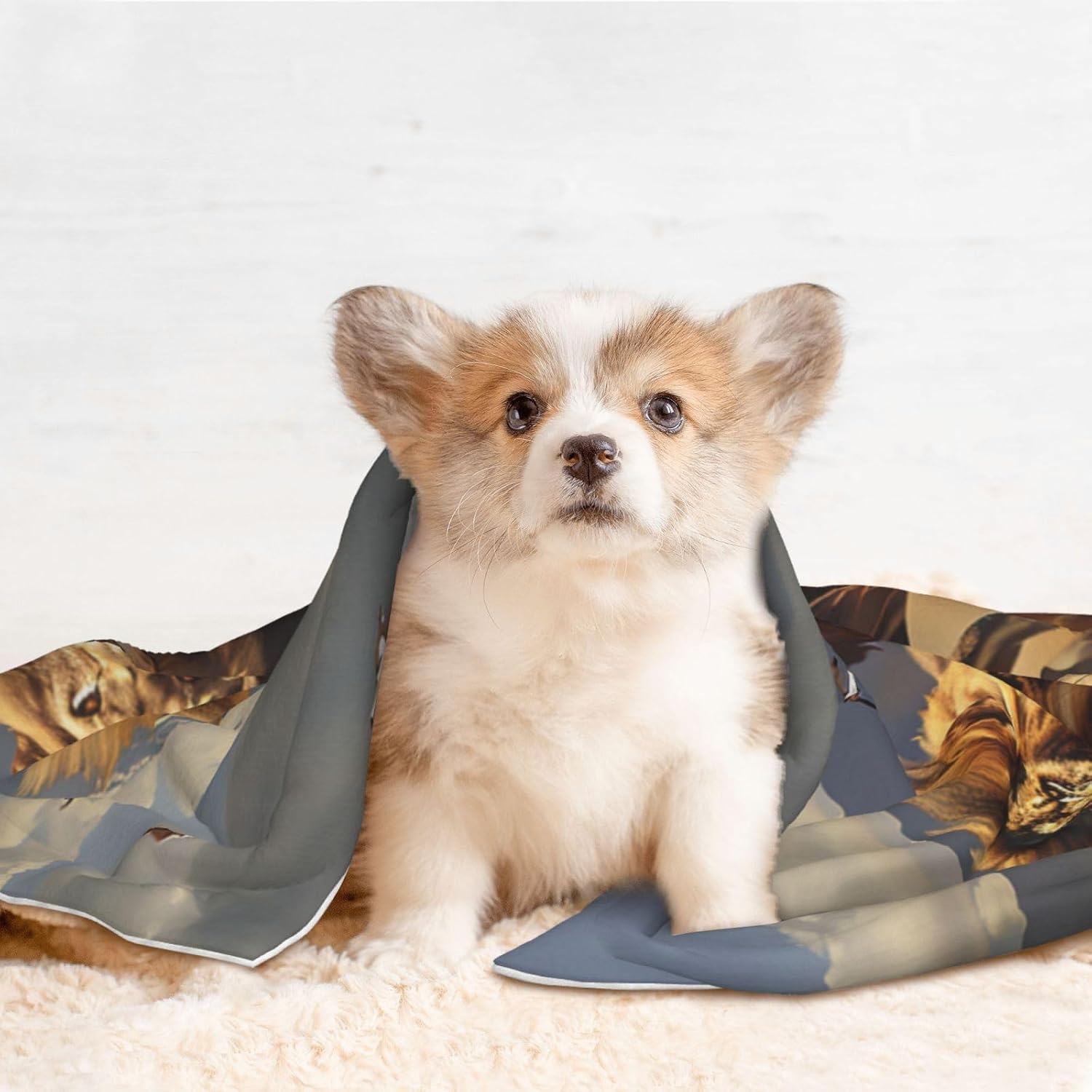 Running Lion Pet Blanket for Dogs & Cats â€“ Soft Plush Dog Blankets for Small & Large Dogs, Couches, Beds, and Cars
