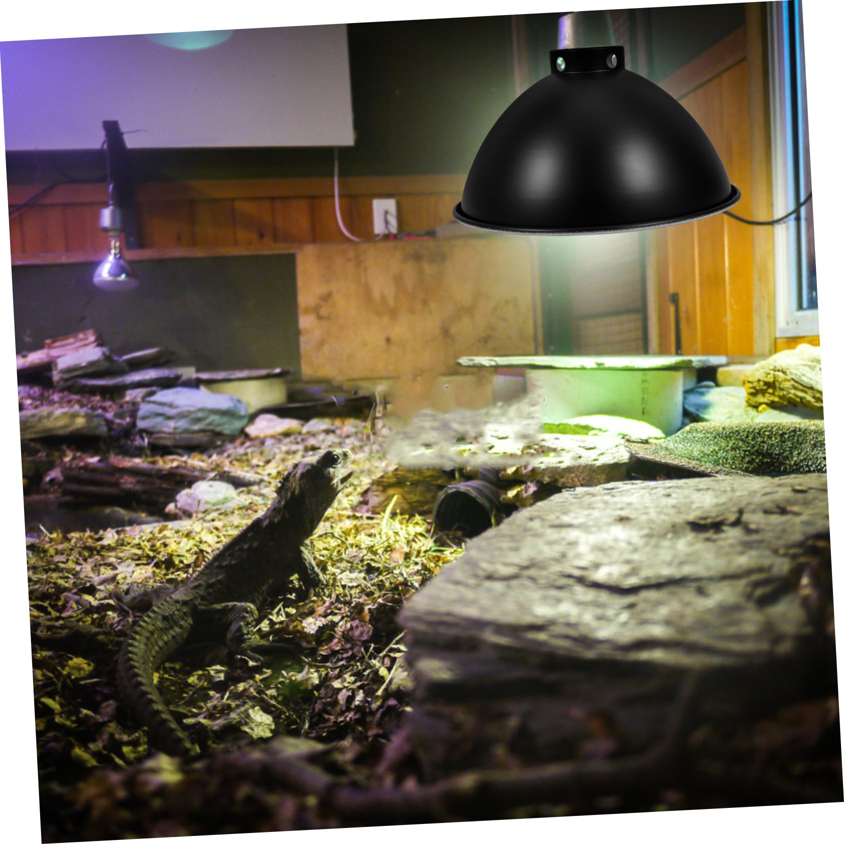 Alipis 3pezzi Paralume Per Lampada Riscaldante Per Rettili Design Riflettente Compatibile Con Lampade Per Lucertole e Tartarughe Massimizza Utilizzo Luce e Calore Resistente e Facile Da