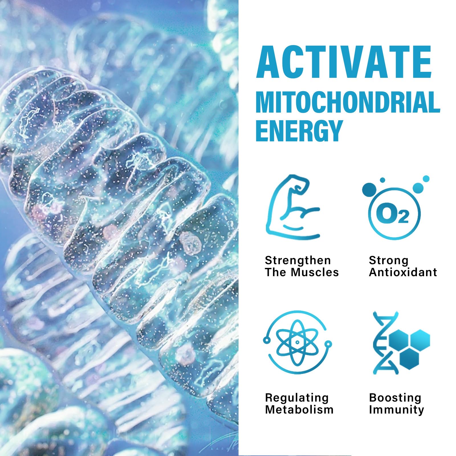 Methylenblau Kapseln, 120 Stück - Unterstützung der mitochondrialen Funktion & kognitiven Leistungsfähigkeit | Zelluläre Energie & antioxidative Formel