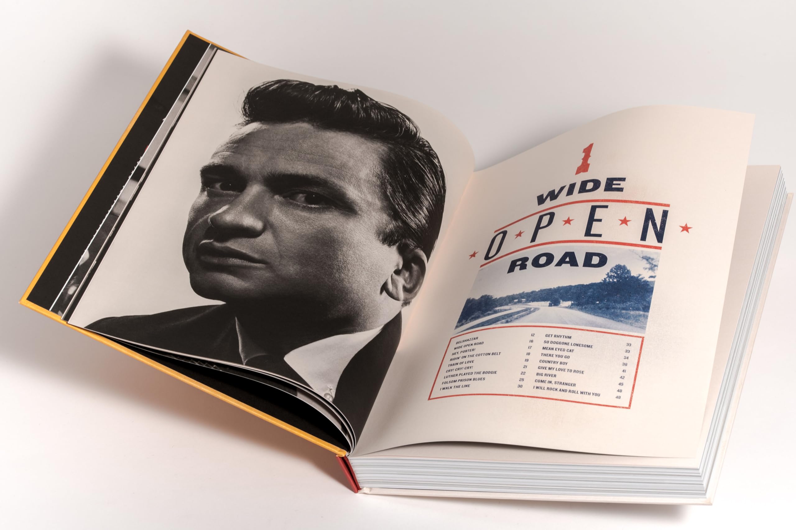 The Life in Lyrics: Sein Leben, seine Texte