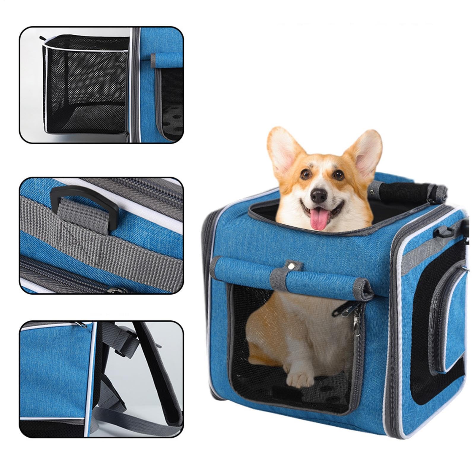 Cesta para Perro En Bicicleta Transportín Ciclista para Mascotas | Mochila Ajustable Con Ventilación Para Excursiones Y Paseos