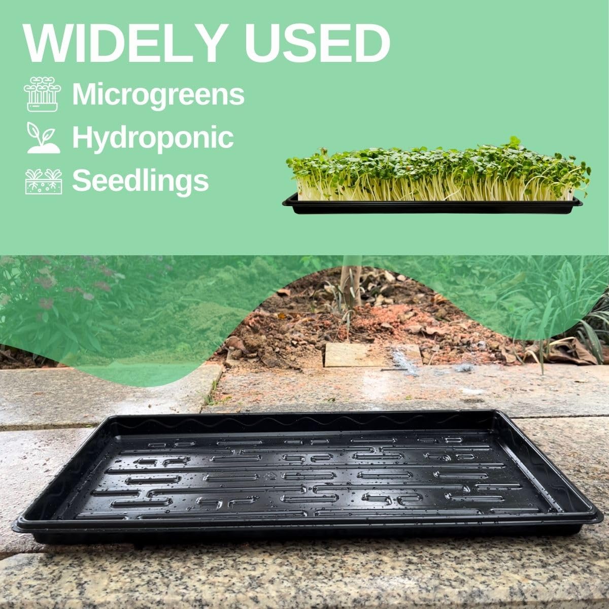 Bandejas de semillero poco profundas 1020 para vivero, fondo poco profundo (altura) de 1.2 pulgadas para germinación de semillas y germinación de plantas, bandejas microverdes sin agujeros