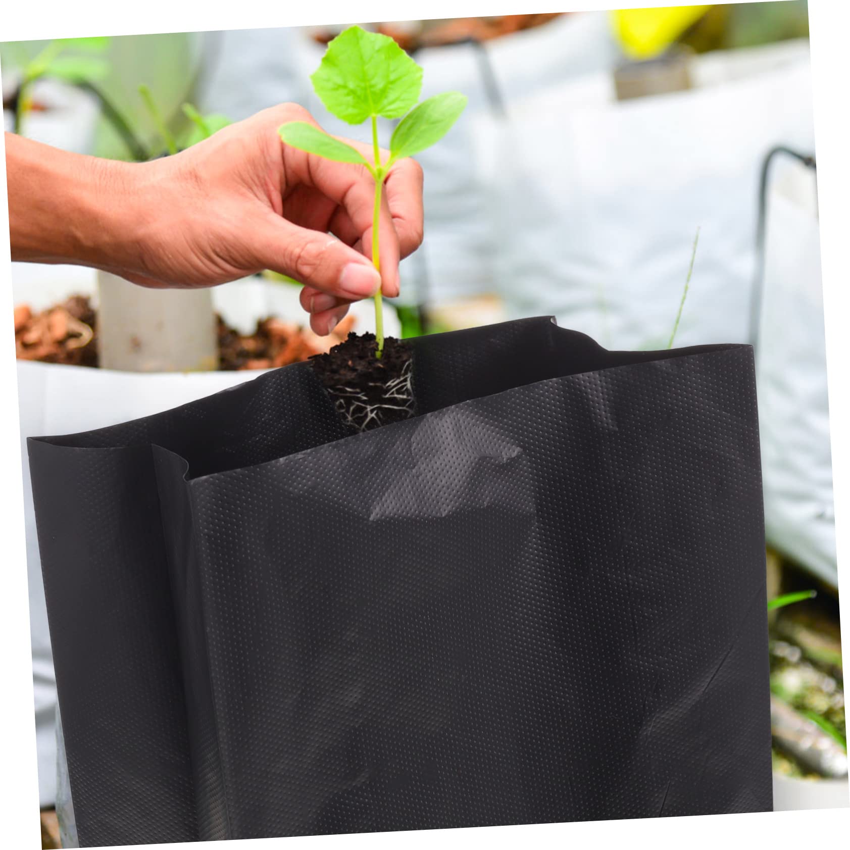 Toddmomy 100 Pièces Pochettes de Culture pour Plantes Extérieures et Arbres Fruitiers Sacs de Culture pour Fleurs, Légumes et Autres