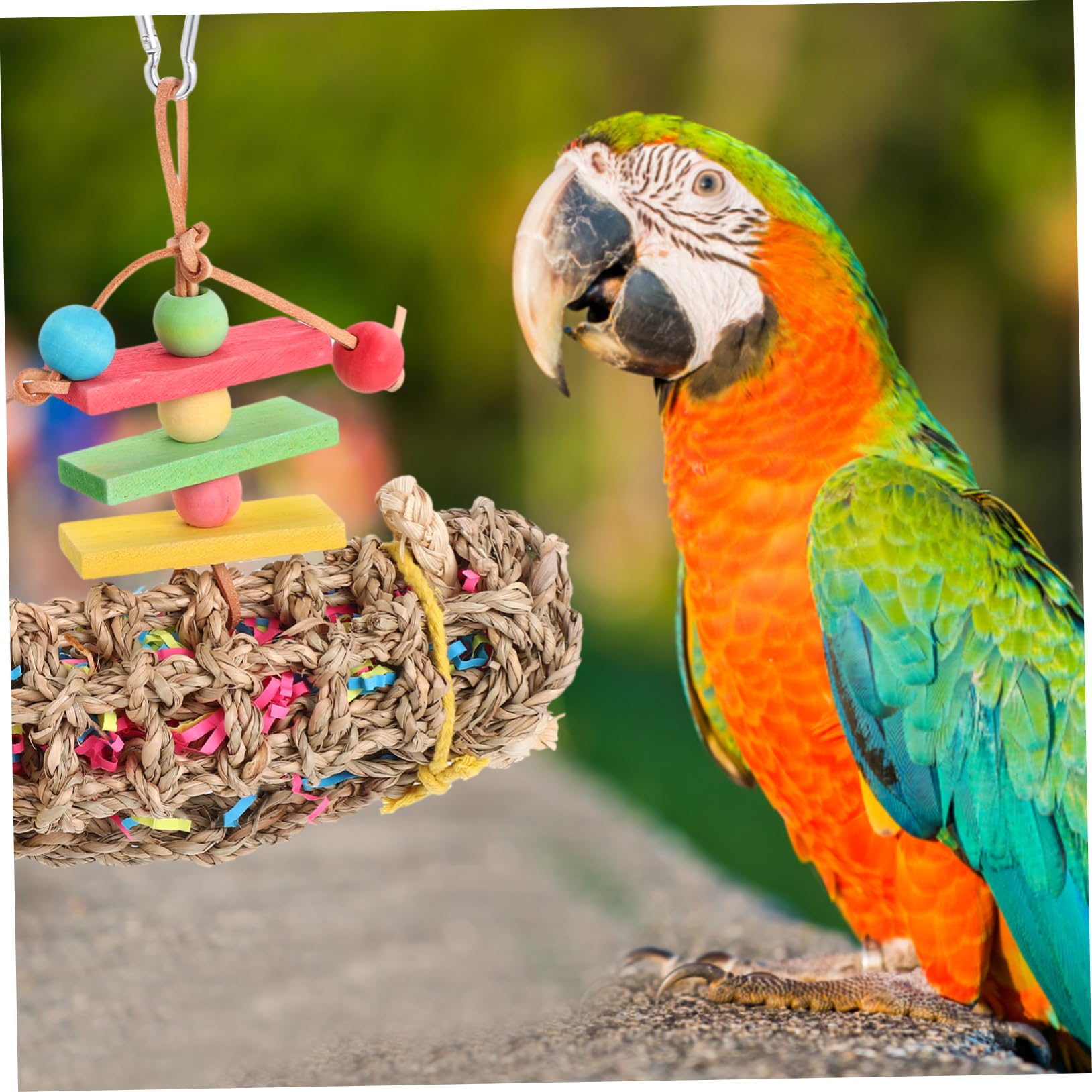 minkissy 3pièces Jouet à Mâcher Suspendu pour Perroquet Accessoire pour Oiseaux Jouet à pour Oiseaux De Compagnie
