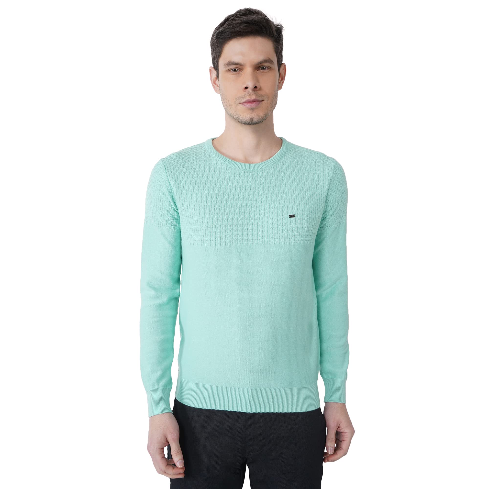 blackberrys Men Cotton Round Neck Sweater (EN-SM-PAZU # Mint Green S)-picture-44