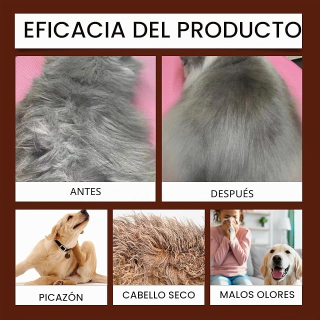 Foto 5 de 7 de Champú para Perros，Alivia el picor y la irritación, previene la proliferación de pulgas, no daña el Pelaje
