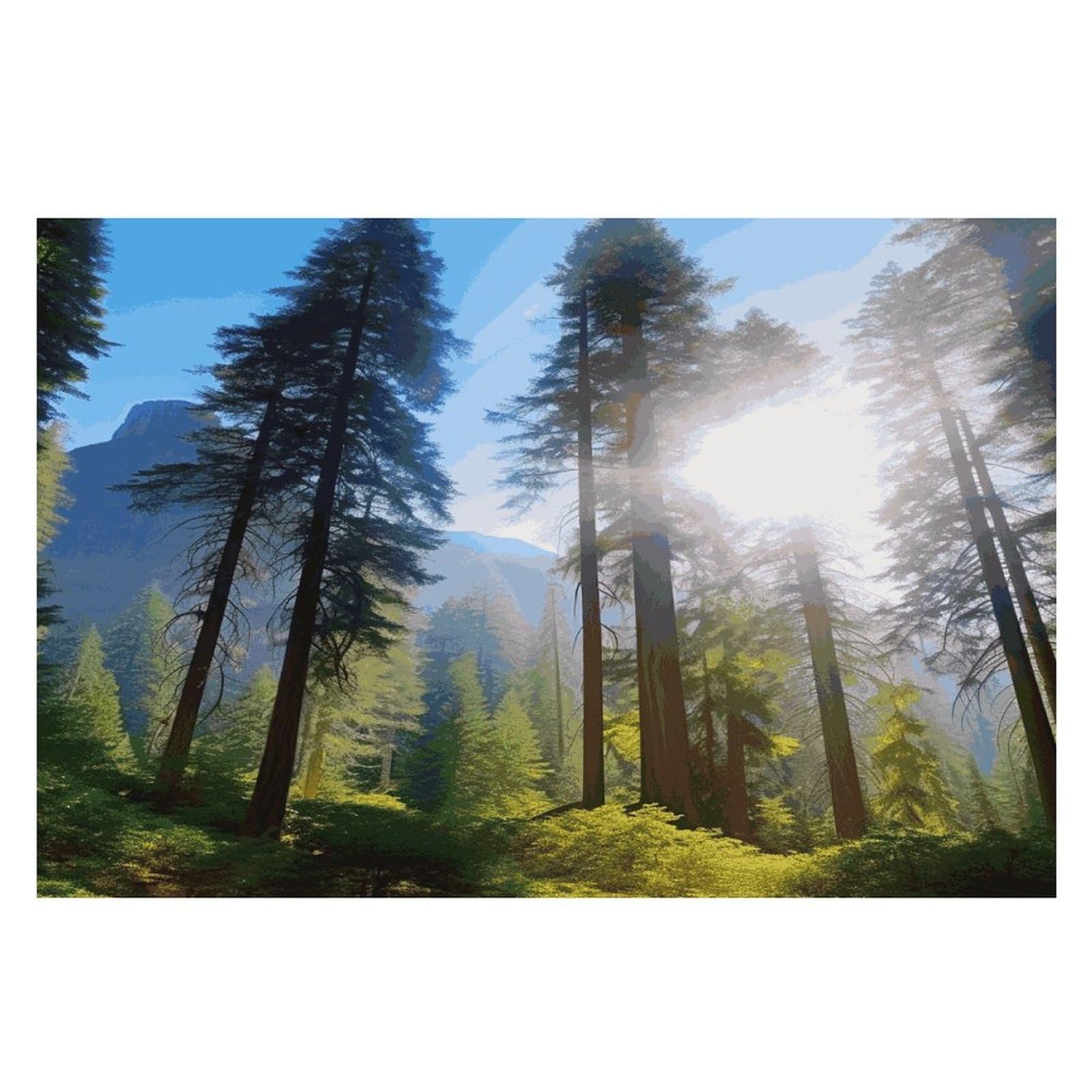 National Parks Sunshine Trees Placemats Heat-Resistant Washable Place Mats Anti Slip Dining Table Place Mats Wipeable Dining Table Mats Kitchen Decoration Placemats 17.7’’×11.8’’