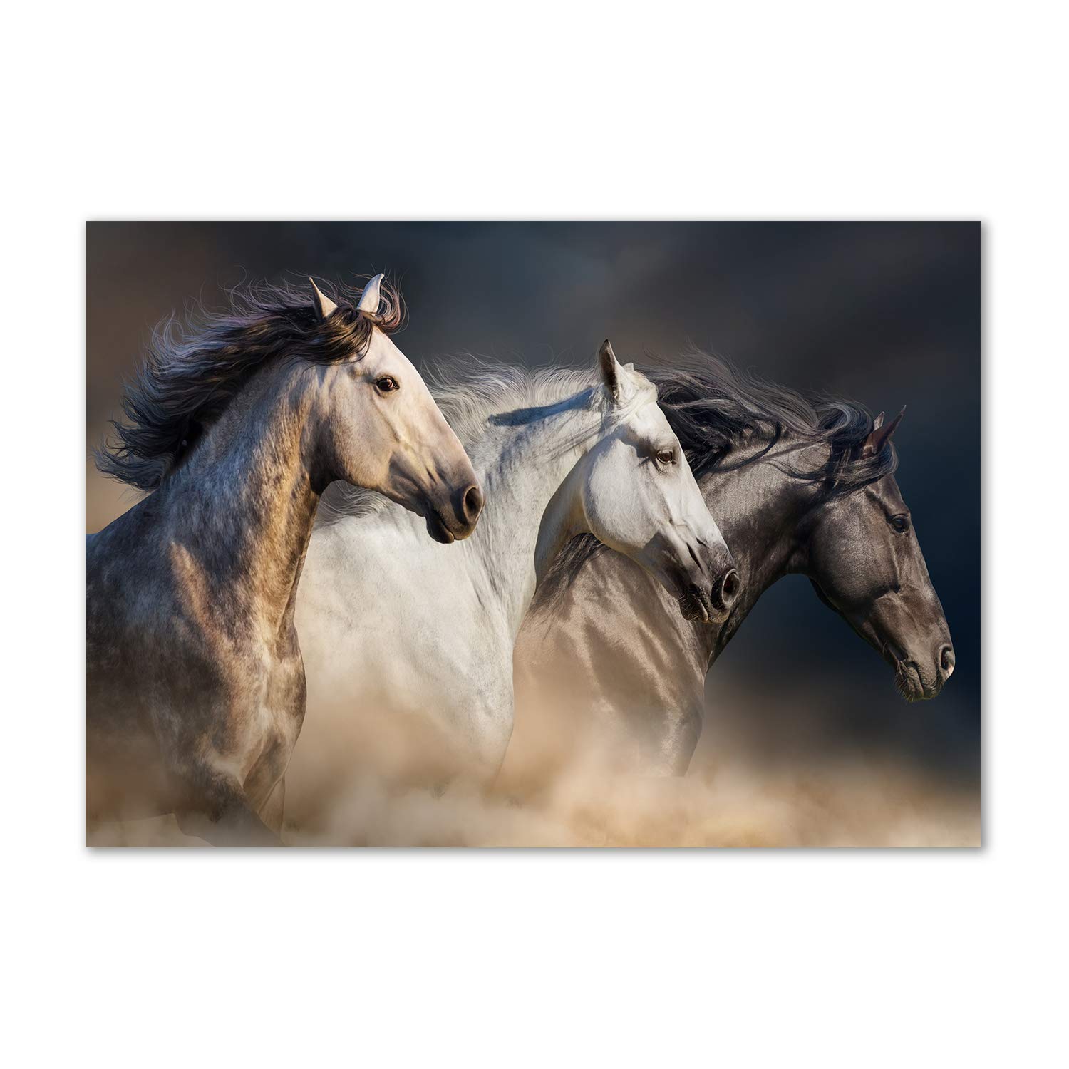 Impression sur verre panoramique de chevaux au galop brun 100x70 cm avec reflets lumineux