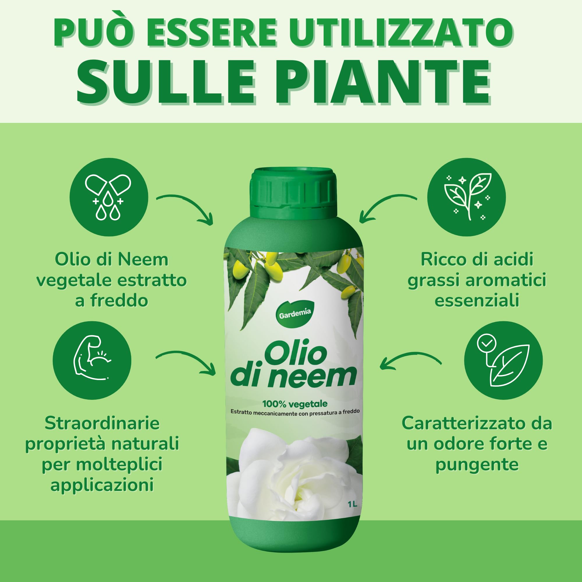 Gardemia Olio di Neem per Piante 1 Litro 100% Vegetale Azione Naturale contro varie Avversità Giardino Multiuso Concentrato Estratto Meccanicamente Pressatura Freddo Straordinarie Proprietà Naturali