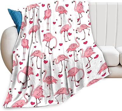 Amazon: 2024 Halloween Viral Pink Ghost Blanket Flannel Reversible