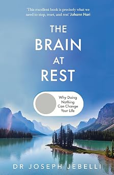 The Brain at Rest The Life-Changing Science of Doing Nothing   The Sunday Times Bestseller