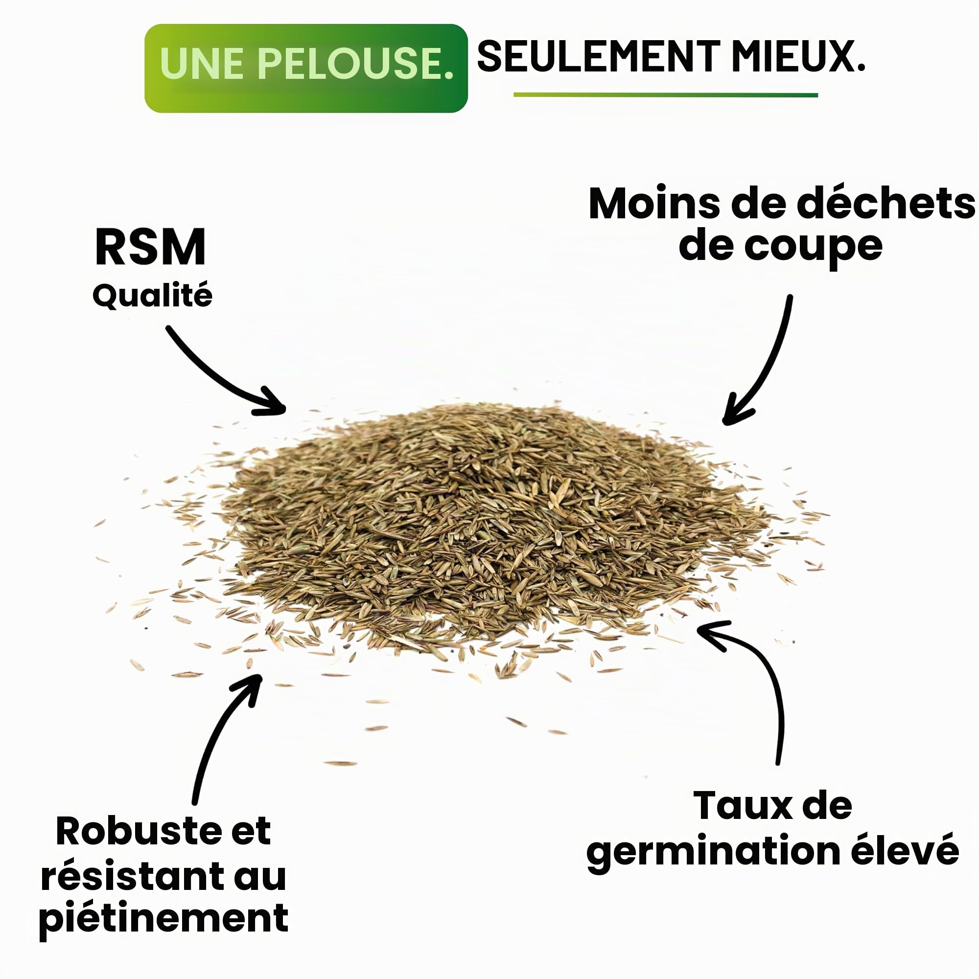 Greenyp® Ultimate - Gazon ombragé RSM de qualité supérieure avec 100 % d'herbes RSM - 5 kg pour 200 m² - Graines de gazon pour les endroits ombragés et secs