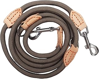 Hundeleine für Mittelgroße & Große Hunde, Multifunktionsleine Führleine für Hunde 2.1m Verstellbare mit 2 Karabiner, Robuste Nylon Dog Leash, Schleppleine Doppelleine für 2hunde (Beige, 1cm x 2.1m) product image